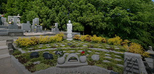 樹木葬について