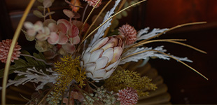 宿坊宝塔寺 蓮Ren