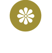 Lesson フラワー教室