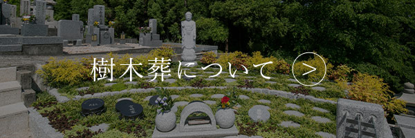 樹木葬について